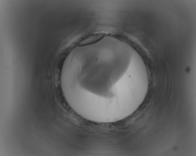 X0000094221399200711241711