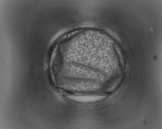 X0000094221400200711241711