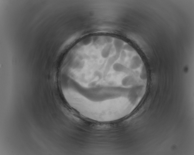 X0000094221403200711241711