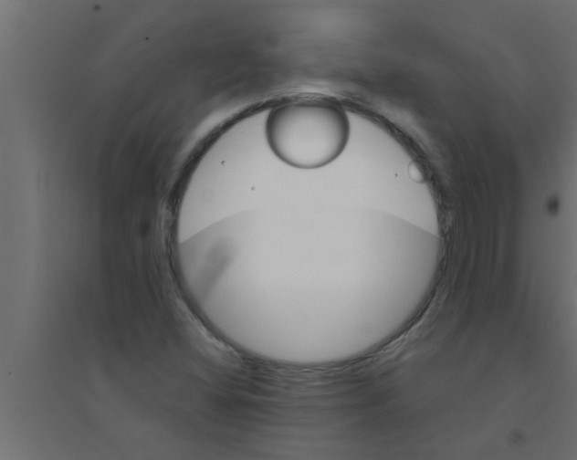 X0000094221404200711241711