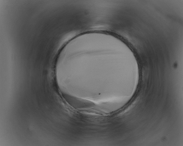 X0000094221405200711241711