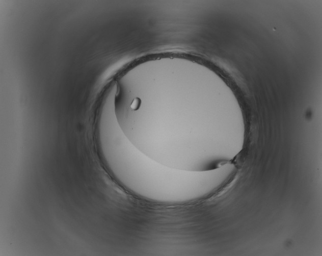 X0000094221406200711241711