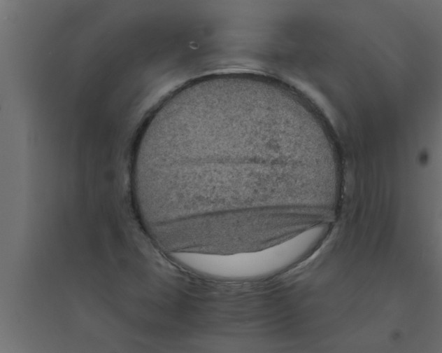 X0000094221407200711241711