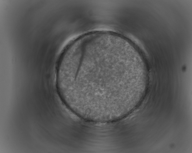 X0000094221408200711241711