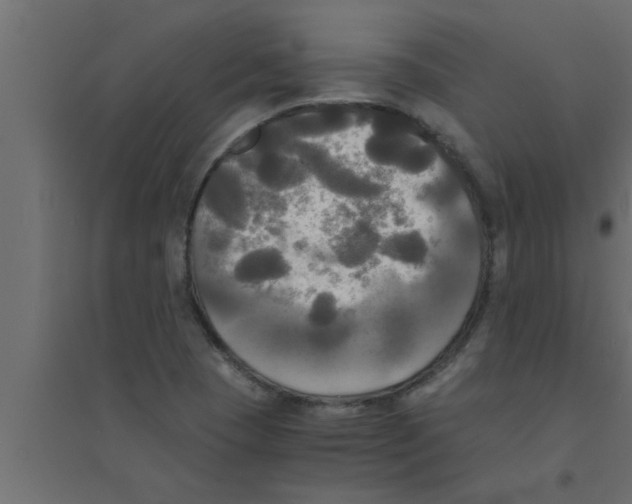 X0000094221409200711241711