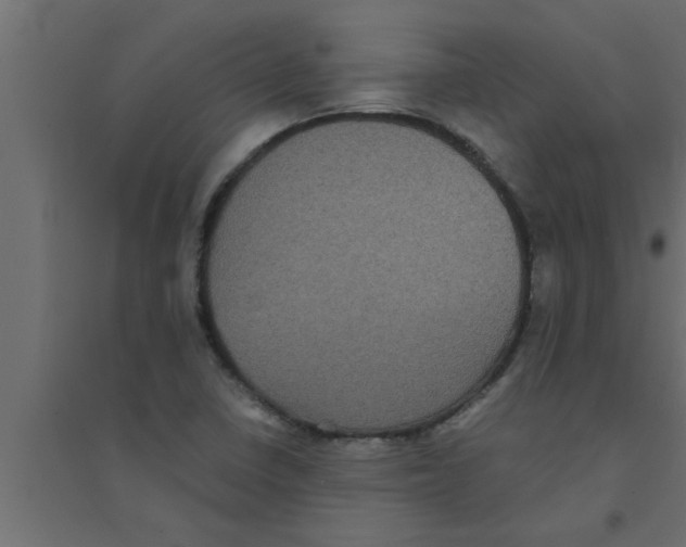 X0000094221410200711241711