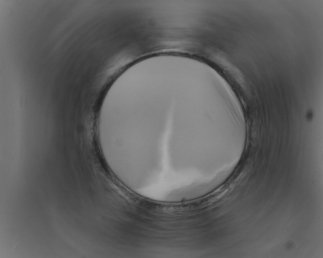 X0000094221411200711241711