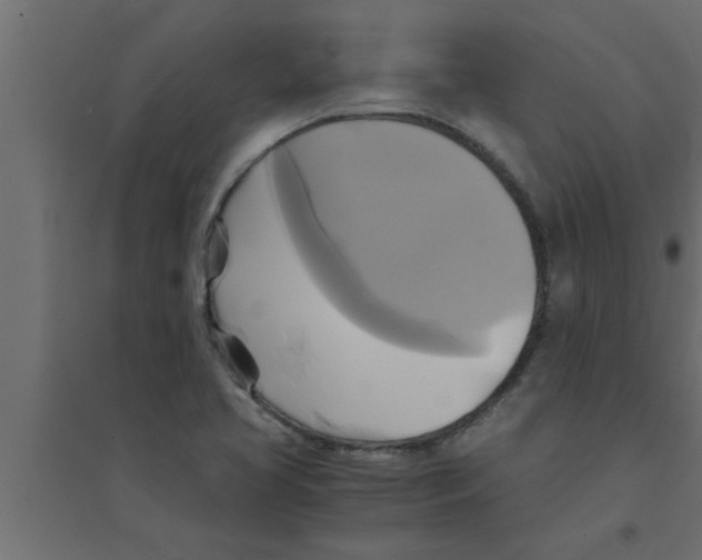 X0000094221413200711241712