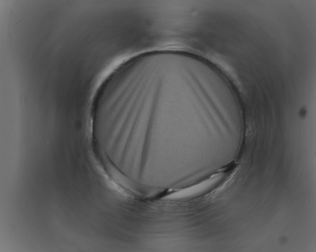 X0000094221414200711241712