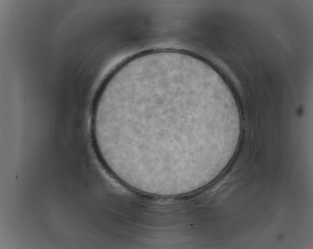 X0000094221416200711241712