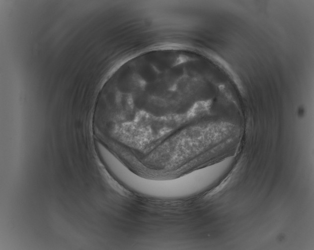 X0000094221417200711241712