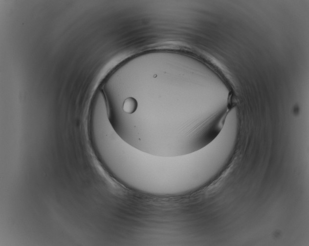 X0000094221418200711241712