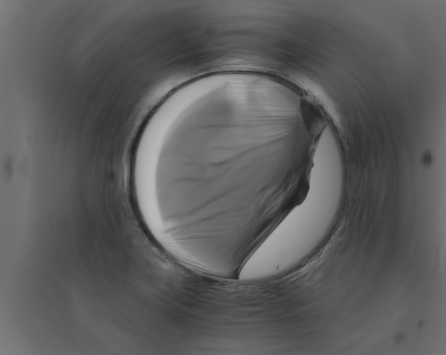 X0000094221419200711241712