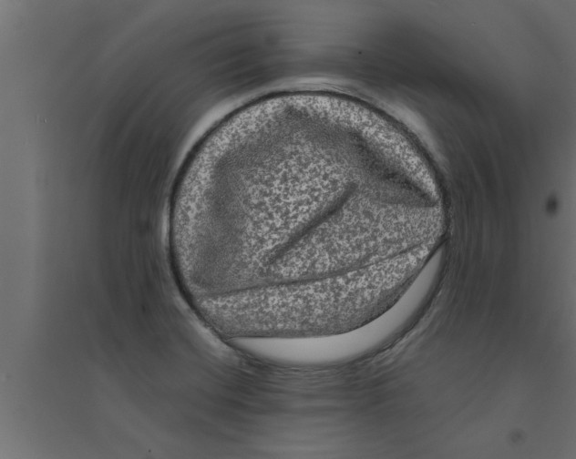 X0000094221420200711241712