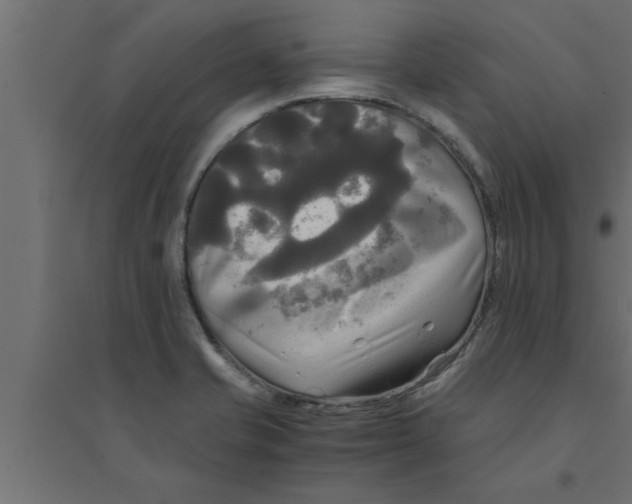 X0000094221421200711241712