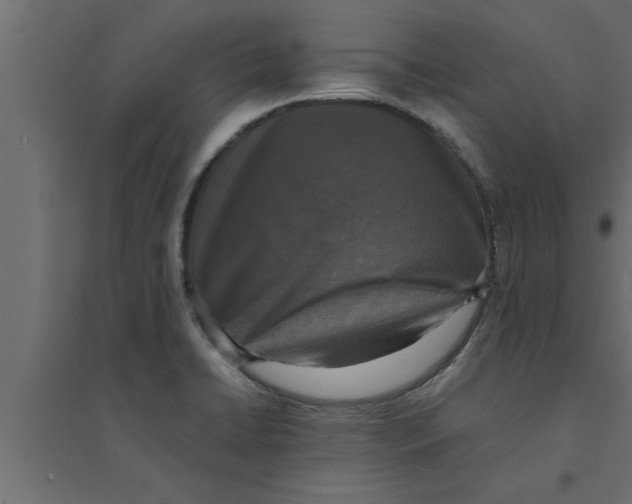 X0000094221422200711241712