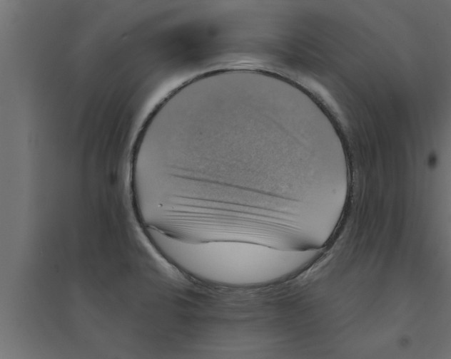 X0000094221424200711241712