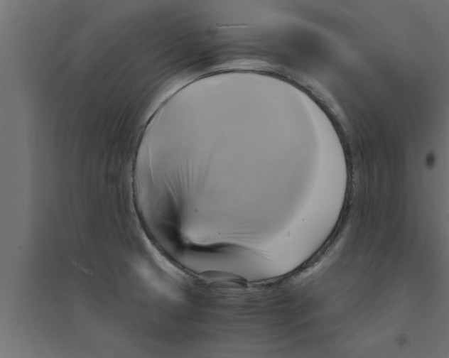 X0000094221425200711241712