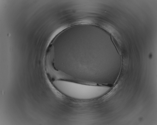 X0000094221426200711241712