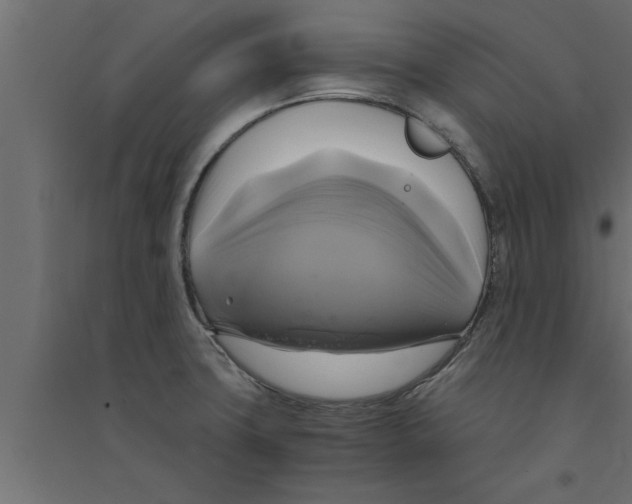 X0000094221427200711241712