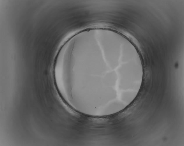 X0000094221429200711241712