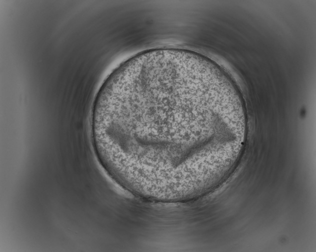 X0000094221432200711241712