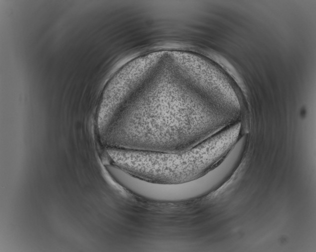 X0000094221433200711241712