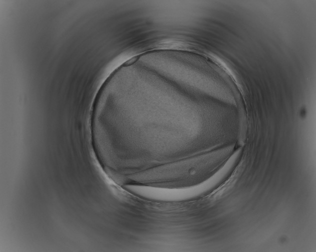 X0000094221434200711241712