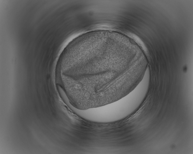 X0000094221435200711241712