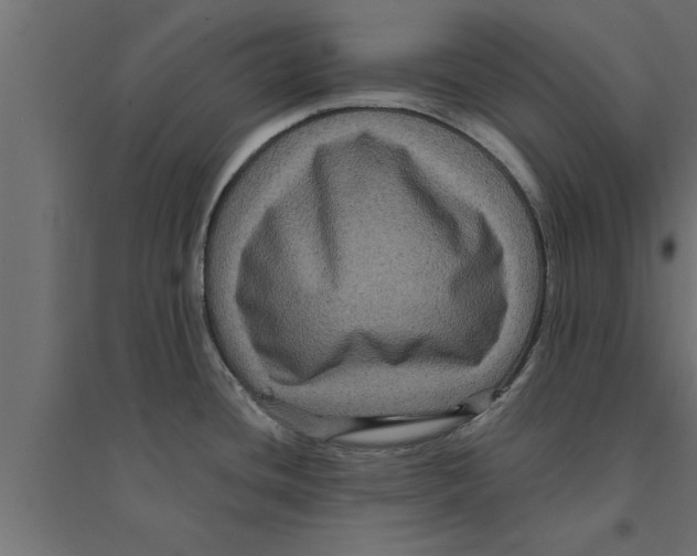 X0000094221436200711241712