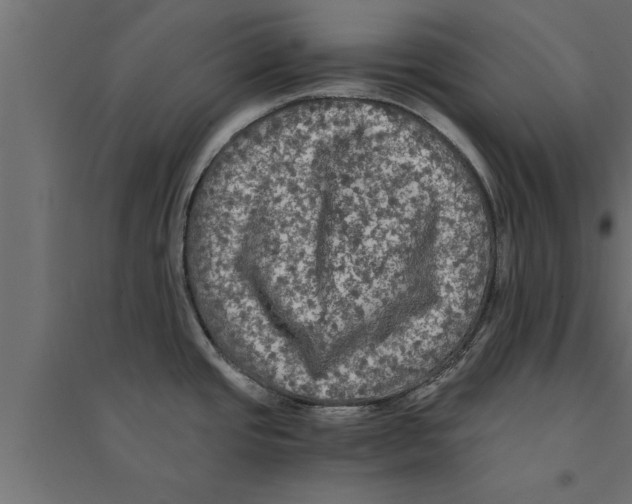 X0000094221437200711241712