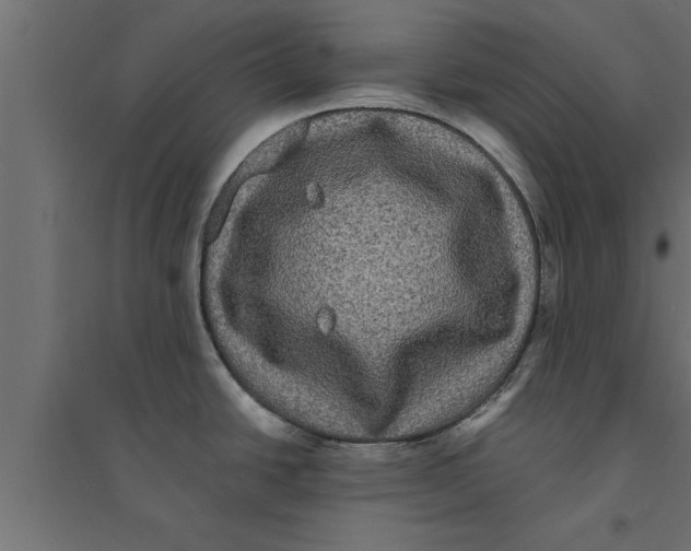 X0000094221438200711241712