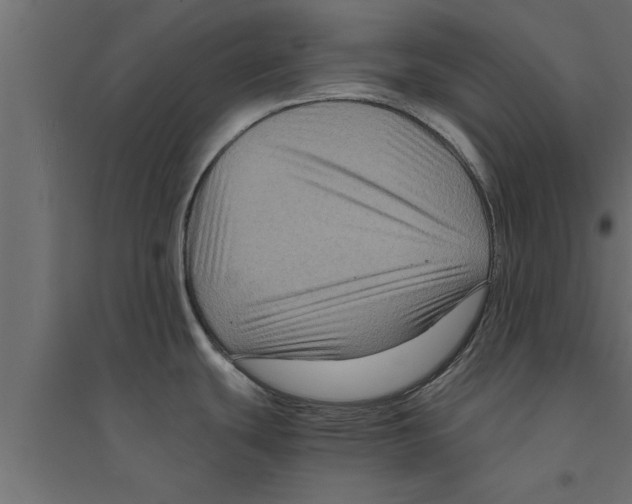 X0000094221439200711241712