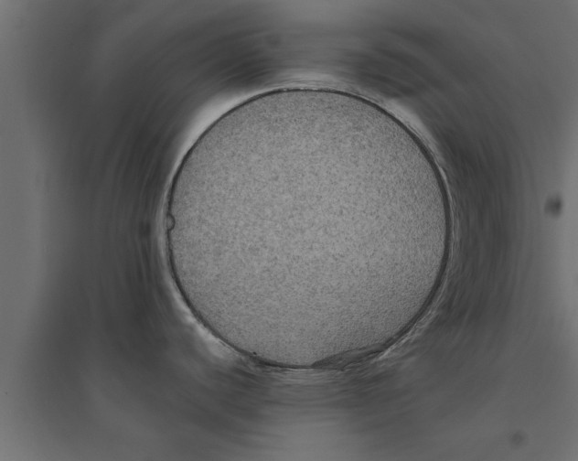 X0000094221440200711241712