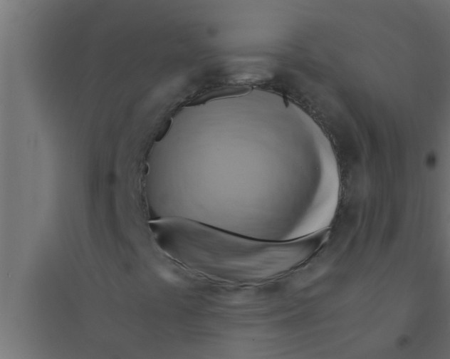 X0000094221441200711241711