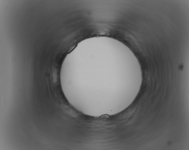 X0000094221442200711241711