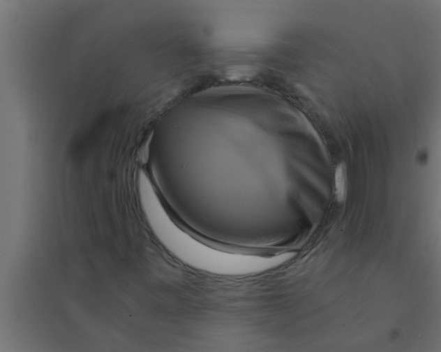 X0000094221443200711241711