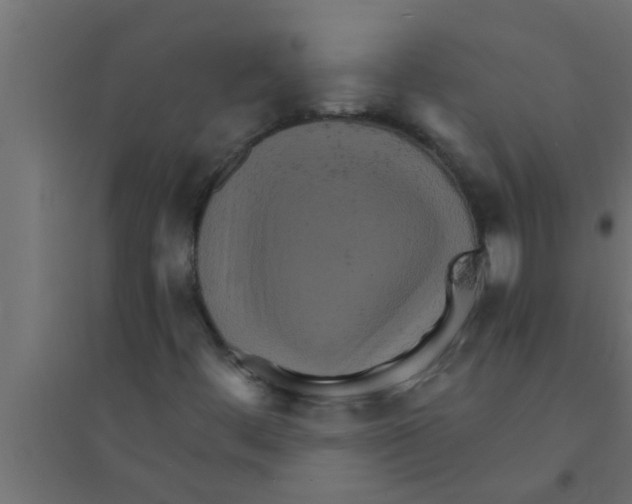 X0000094221444200711241711