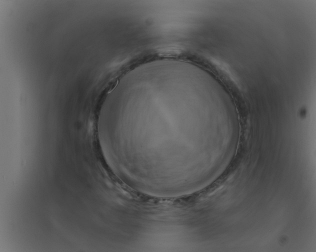 X0000094221445200711241711