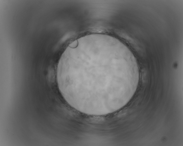 X0000094221446200711241711