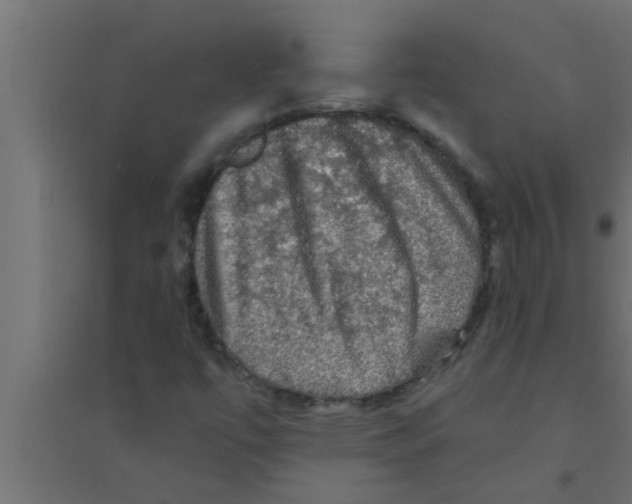 X0000094221447200711241711