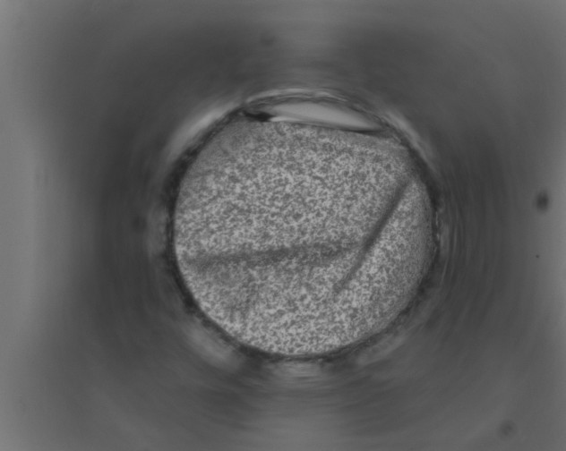 X0000094221448200711241711