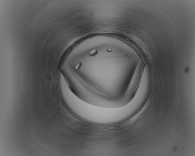 X0000094221449200711241711