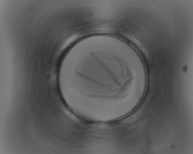 X0000094221450200711241711