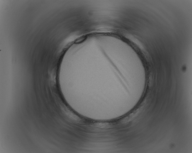 X0000094221451200711241711