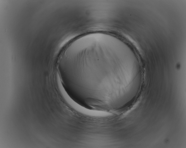 X0000094221453200711241711