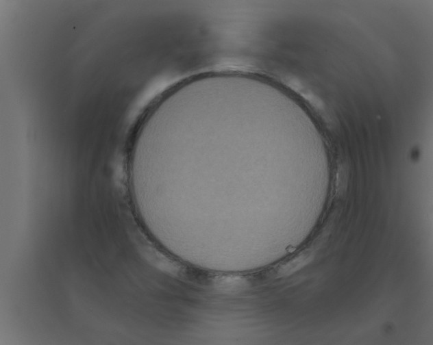 X0000094221454200711241711