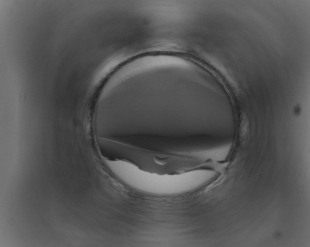 X0000094221455200711241711