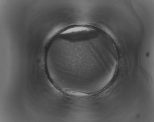 X0000094221456200711241711