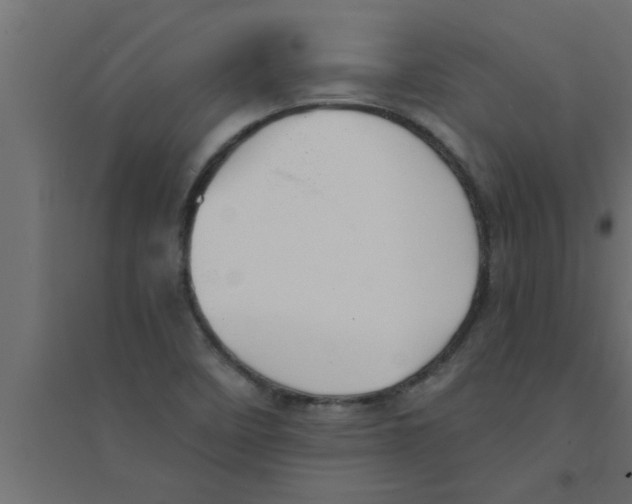 X0000094221458200711241711